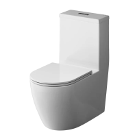 Унитаз-моноблок напольный AM.PM Func C8F8900SC безободковый, с микролифтом, глянцевый белый