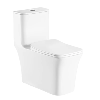 Унитаз моноблок Azario GRESSA AZ-1111 напольный, безободковый, горизонтальный слив, с сиденьем микролифт, 70.5x37x76 см, белый