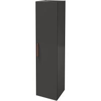 Пенал Jacob Delafon Odeon Rive Gauche EB2570D-R7-N14 подвесной R, серый антрацит