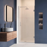 Душевая дверь в нишу RGW Hotel HO-011 900х1950 профиль хром, стекло прозрачное