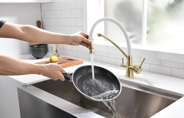 смеситель для кухни с фильтром paulmark siegen si213111-brw + h851p00