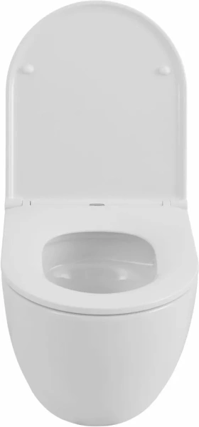 унитаз allen brau priority tornado 4.31008.20 подвесной, безободковый, смыв торнадо, без сиденья, белый глянец