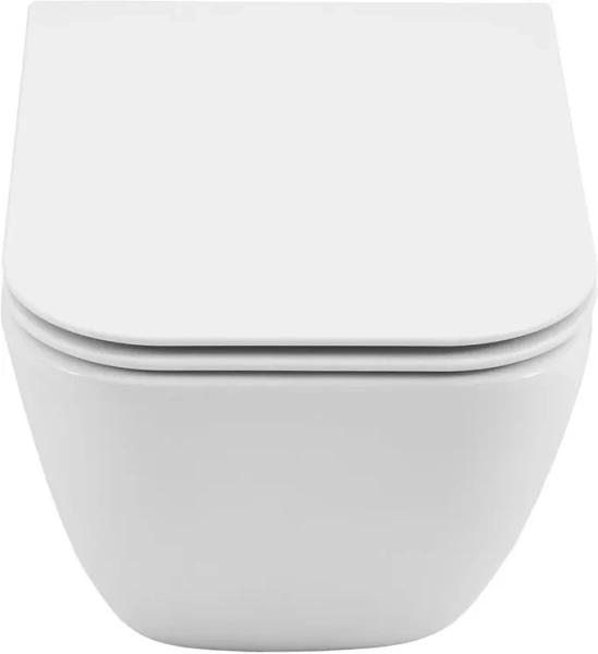 унитаз allen brau liberty 4.33012.2 подвесной, белый