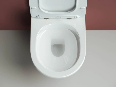 комплект унитаза с инсталляцией ceramicanova forma cn3009_1001ch_1000 с сиденьем микролифт и клавишей смыва хром комплект унитаза с инсталляцией ceramicanova forma cn3009_1001ch_1000 с сиденьем микролифт и клавишей смыва хром