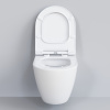 сиденье для унитаза ambassador queen 112t20001s с микролифтом