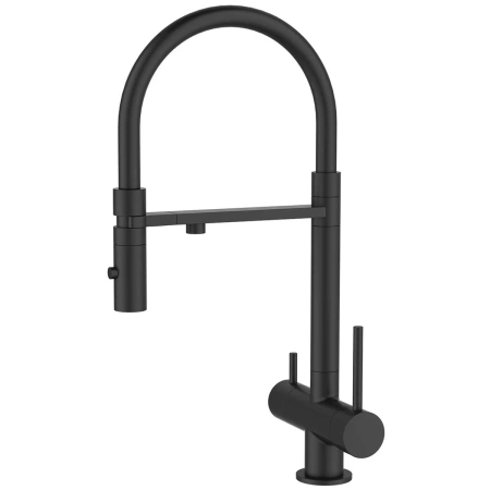 Смеситель для кухни IDDIS Ace ACEBLFFi05 черный матовый, с гибким изливом