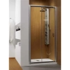 Душевая дверь Radaway Premium Plus DWJ 100 фабрик
