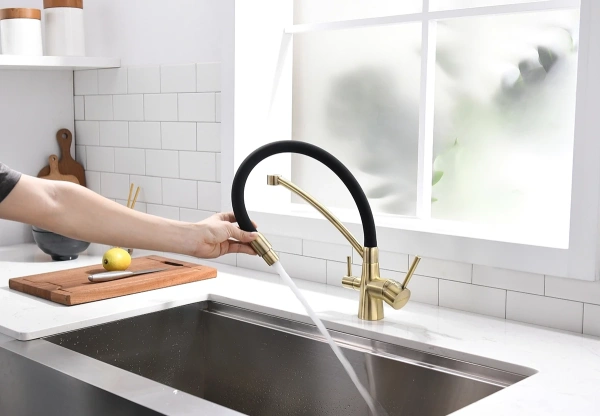 смеситель для кухни с фильтром paulmark siegen si213111-br + h851p00