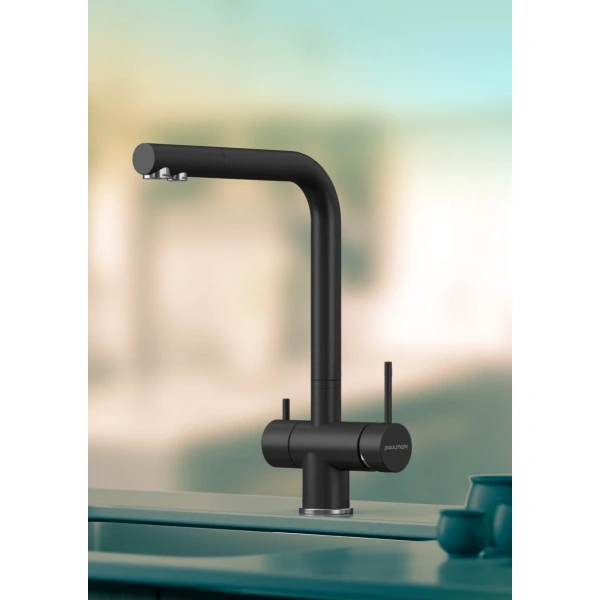 смеситель для кухни с фильтром paulmark skalen sk213020-401 + h851p00